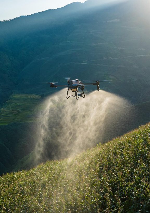 Buğdayda süne zararlısına karşı dronla ilaçlama hizmeti. Ürün ezilmeden, glüten değeri düşmeden, hızlı ve kesin çözüm. Sakarya, Bilecik ve çevre illerde profesyonel süne mücadelesi.