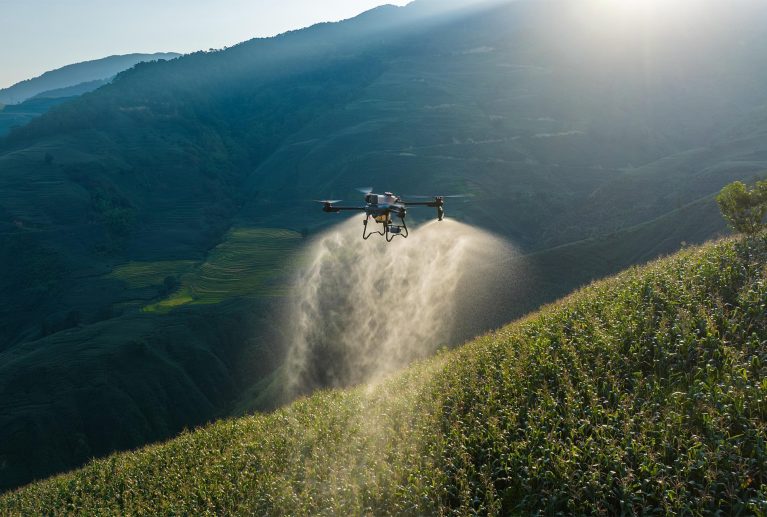 Buğdayda süne zararlısına karşı dronla ilaçlama hizmeti. Ürün ezilmeden, glüten değeri düşmeden, hızlı ve kesin çözüm. Sakarya, Bilecik ve çevre illerde profesyonel süne mücadelesi.