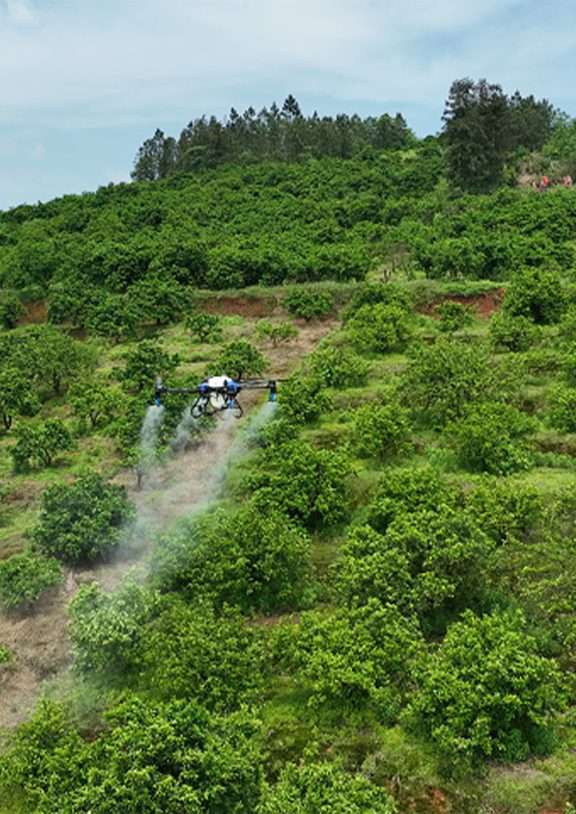 Tarlanızda mantar hastalığına karşı dronla ilaçlama hizmeti. Çamur engeli olmadan, ürünü ezmeden, sisleme teknolojisiyle %100 etkili mantar ilacı uygulaması. Sakarya ve çevre illerde hizmetinizdeyiz.