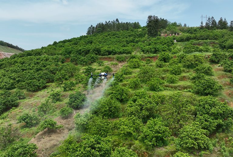 Tarlanızda mantar hastalığına karşı dronla ilaçlama hizmeti. Çamur engeli olmadan, ürünü ezmeden, sisleme teknolojisiyle %100 etkili mantar ilacı uygulaması. Sakarya ve çevre illerde hizmetinizdeyiz.