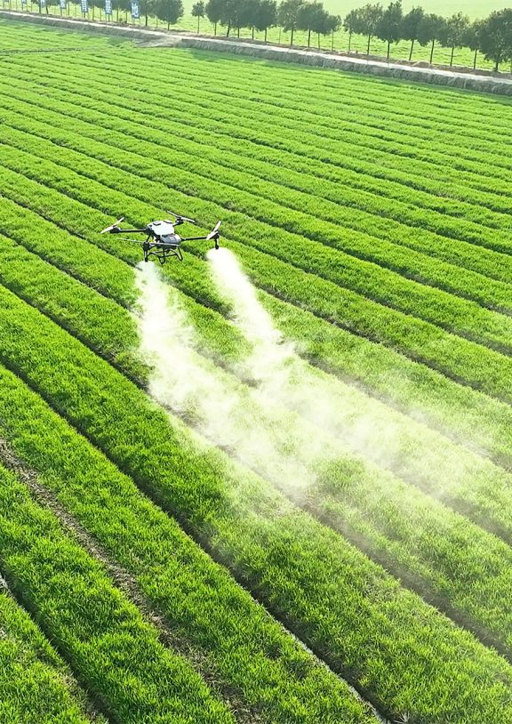 Tarlanızda yabancı otlara karşı dronla ilaçlama hizmeti. Ürün ezilmeden, %95 su tasarrufu ve düşük maliyetle ot mücadelesi. Sakarya, Bilecik ve çevre illerde profesyonel çözüm.