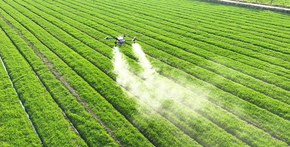 Tarlanızda yabancı otlara karşı dronla ilaçlama hizmeti. Ürün ezilmeden, %95 su tasarrufu ve düşük maliyetle ot mücadelesi. Sakarya, Bilecik ve çevre illerde profesyonel çözüm.