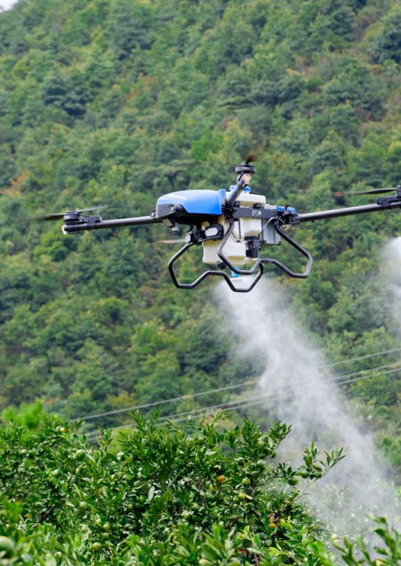 Buğdayda sarı pas hastalığına karşı dronla ilaçlama hizmeti. Tarlanız çamur olsa bile ekinleri ezmeden, %100 verimle pas ilacı atıyoruz. Sakarya ve bölgesi için hemen arayın.