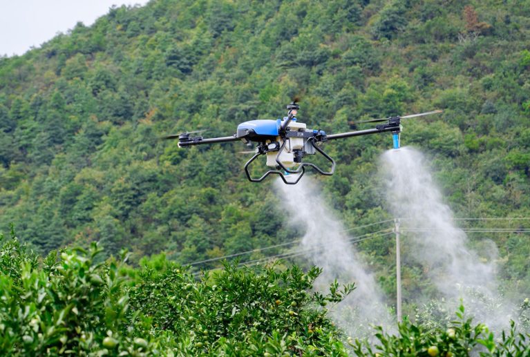 Buğdayda sarı pas hastalığına karşı dronla ilaçlama hizmeti. Tarlanız çamur olsa bile ekinleri ezmeden, %100 verimle pas ilacı atıyoruz. Sakarya ve bölgesi için hemen arayın.