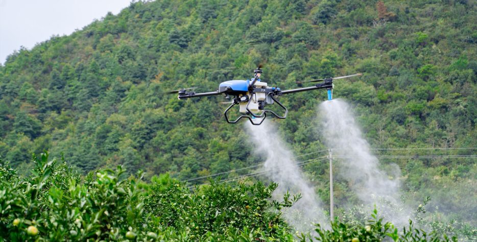 Buğdayda sarı pas hastalığına karşı dronla ilaçlama hizmeti. Tarlanız çamur olsa bile ekinleri ezmeden, %100 verimle pas ilacı atıyoruz. Sakarya ve bölgesi için hemen arayın.